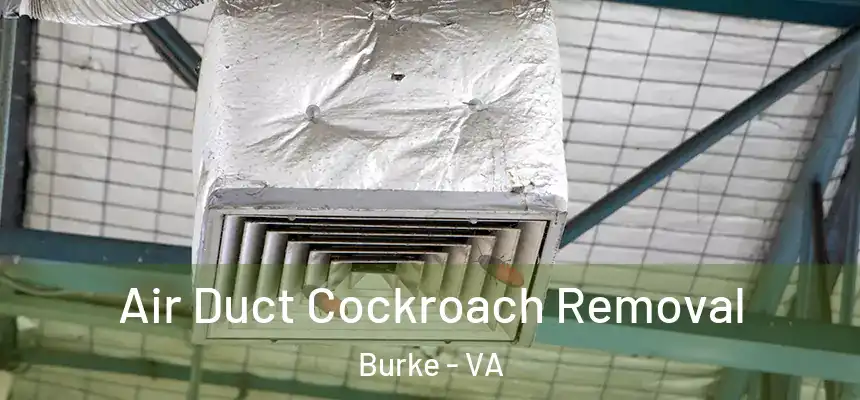  Air Duct Cockroach Removal Burke - VA