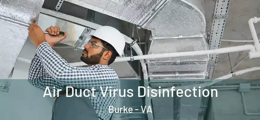 Air Duct Virus Disinfection Burke - VA