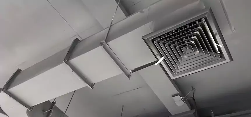 Restorative Allergy Relief Vent Cleaning – Coil, Blower & Housing Detail in Burke