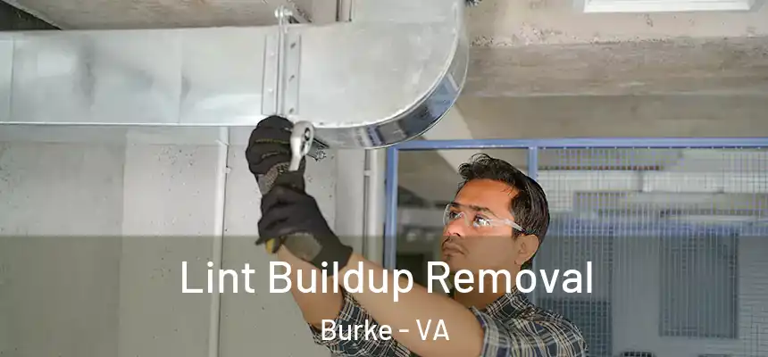  Lint Buildup Removal Burke - VA