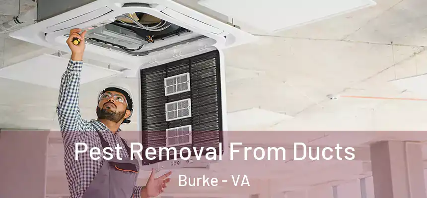  Pest Removal From Ducts Burke - VA