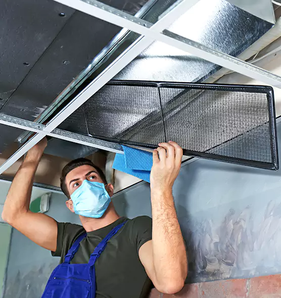 About Air Duct Bacteria Removal in Burke