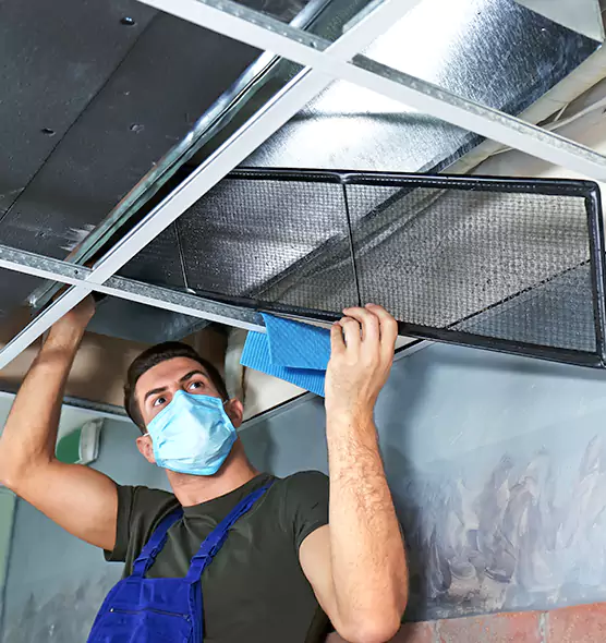 Professional Air Duct Pollen Cleaning in Burke, VA