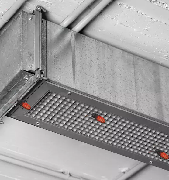 Affordable Insect Removal from Air Ducts in Burke, VA