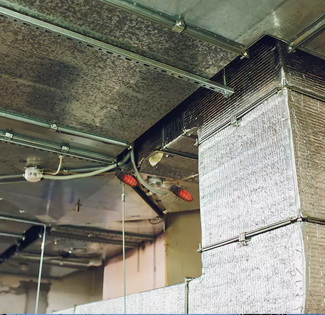 Why Homeowners & Businesses Trust Us in Burke, VA?