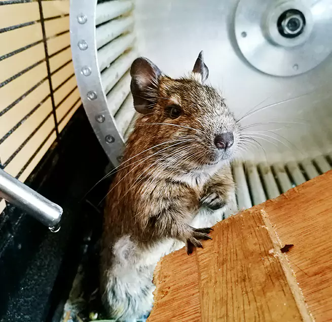 Why Homeowners & Businesses Trust Us Burke, VA