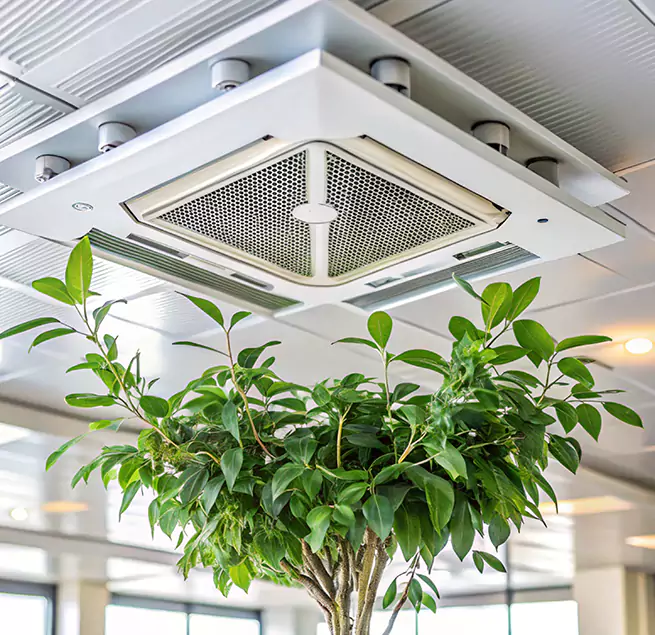 Why Homeowners & Businesses Trust Us in Burke, VA