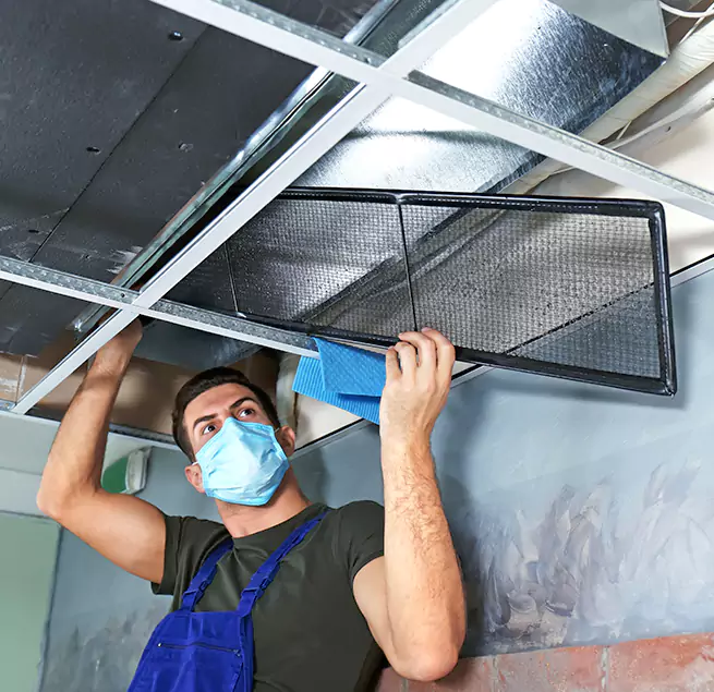 Why Homeowners & Businesses Trust Us in Burke, VA?